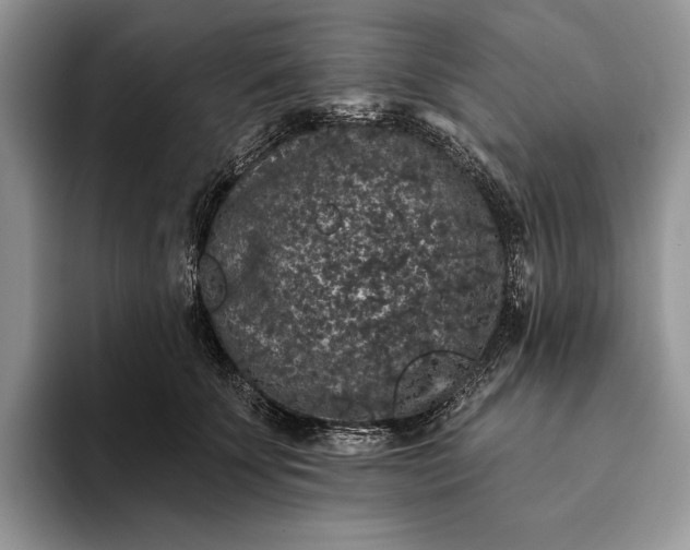 X0000094170707200711091124