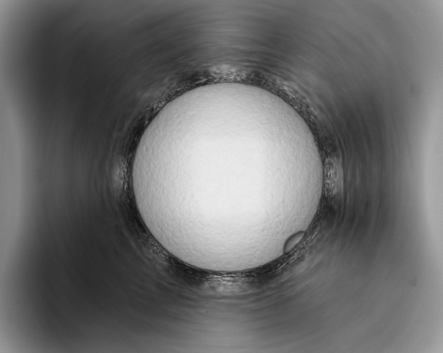 X0000094170713200711091124