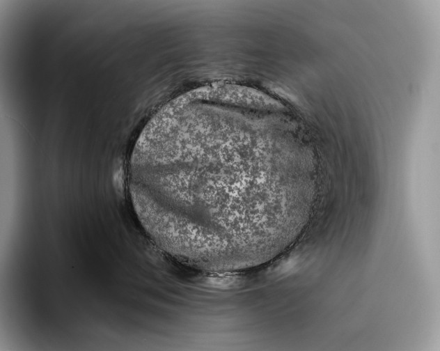 X0000094170720200711091124
