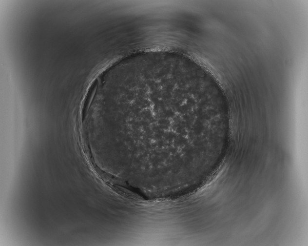 X0000094170721200711091123