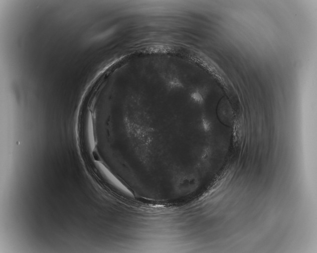 X0000094170722200711091123