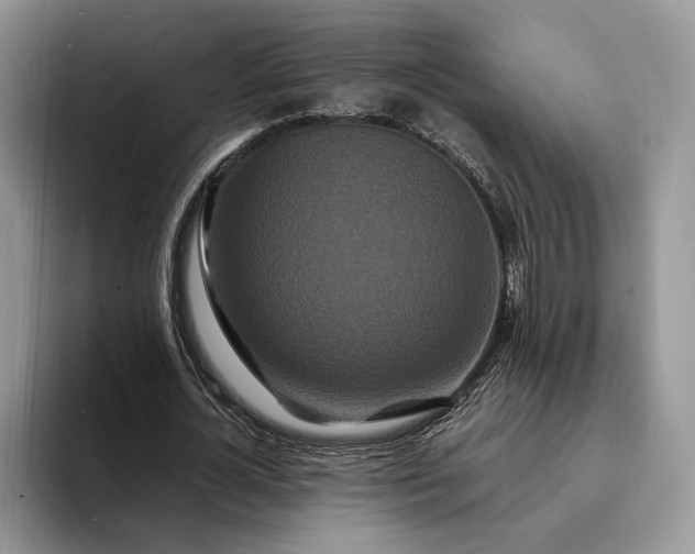 X0000094170724200711091124