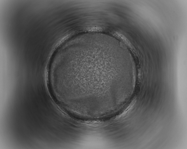 X0000094170725200711091124