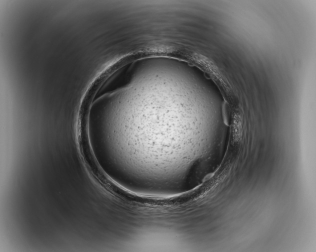 X0000094170726200711091124
