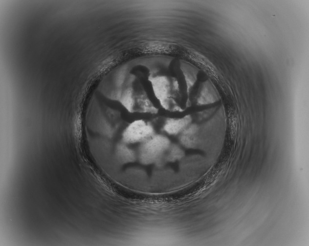 X0000094170729200711091124