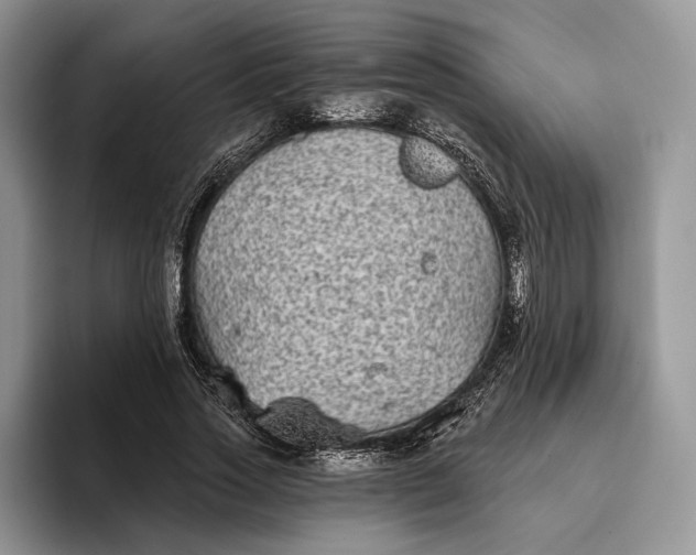 X0000094170733200711091124