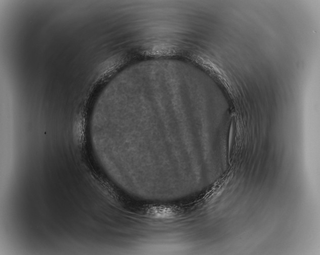 X0000094170735200711091124