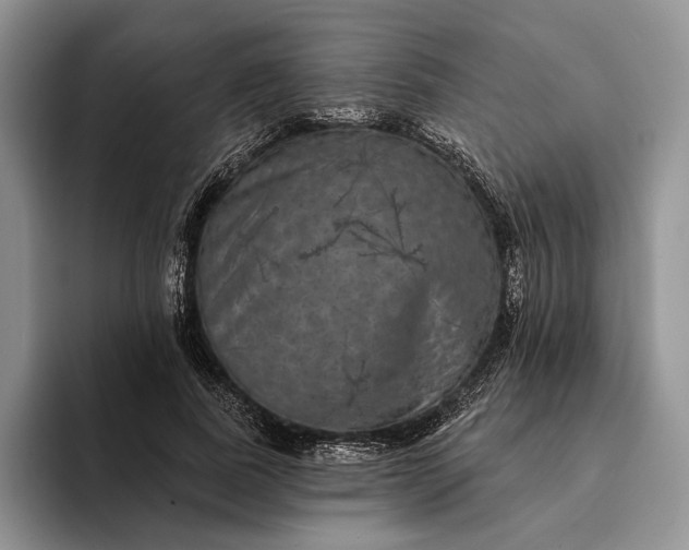 X0000094170739200711091124