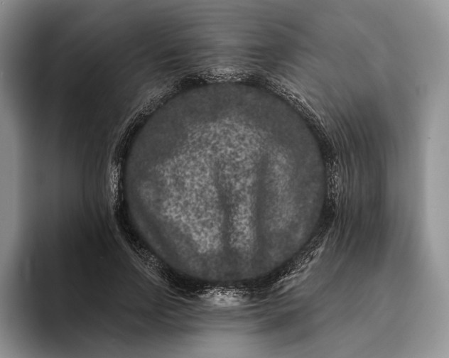 X0000094170742200711091124
