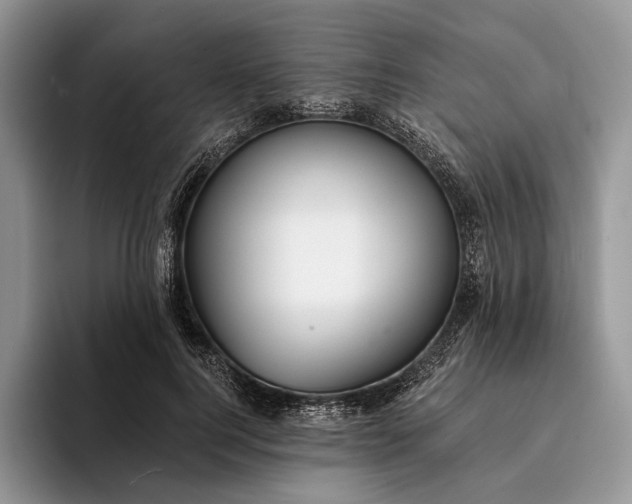 X0000094170744200711091124
