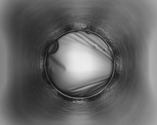 X0000094170745200711091124