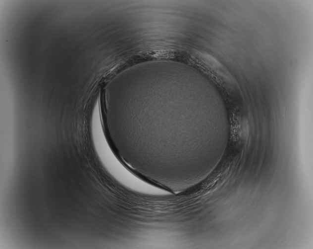 X0000094170748200711091124