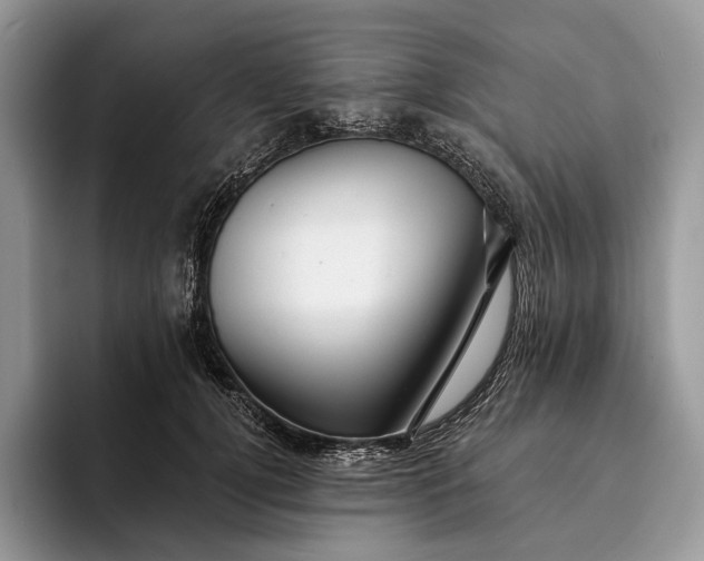 X0000094170752200711091124
