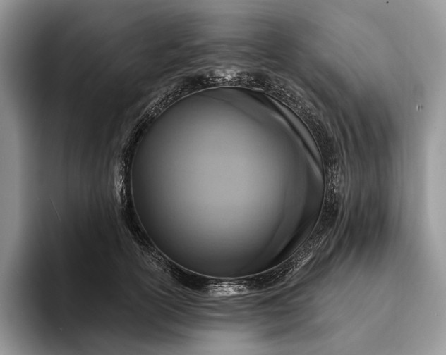 X0000094170754200711091124