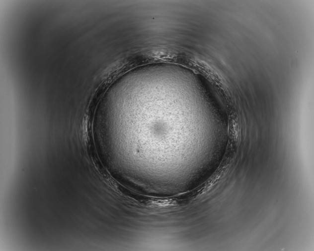 X0000094170757200711091124