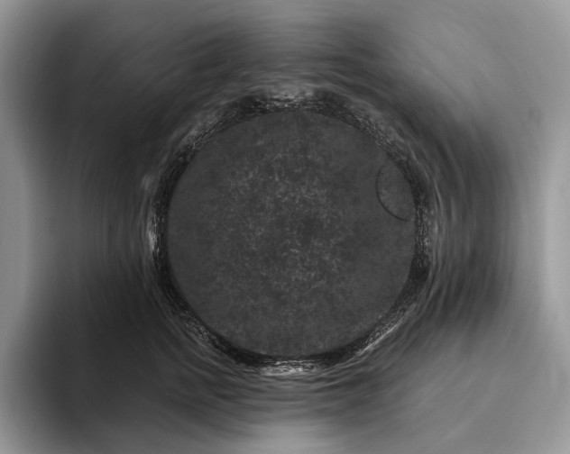 X0000094170758200711091124