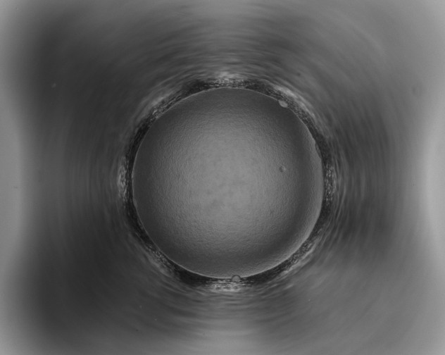 X0000094170762200711091124