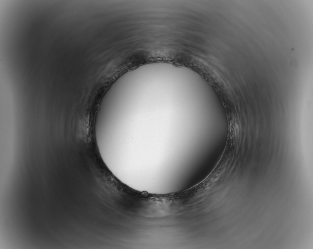 X0000094170764200711091124