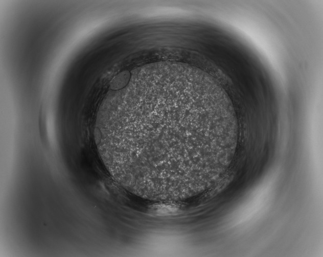 X0000094170765200711091124