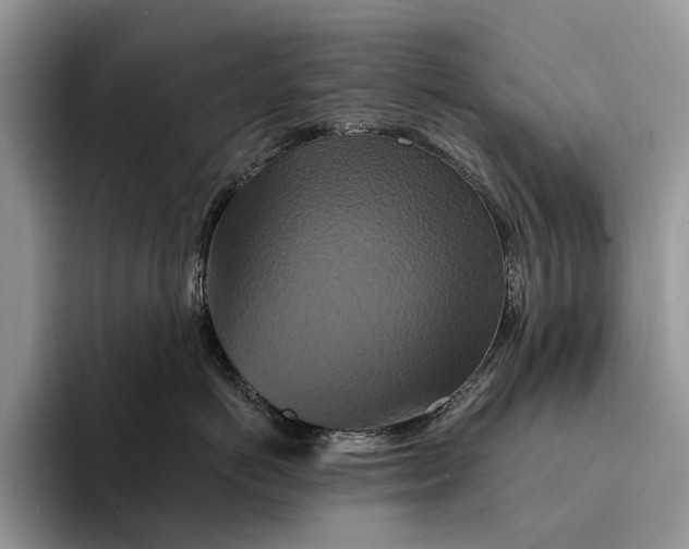 X0000094170766200711091124