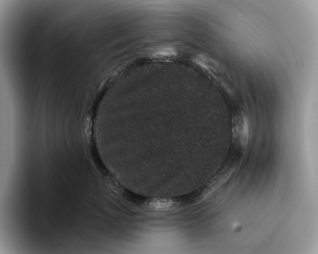 X0000094170767200711091124