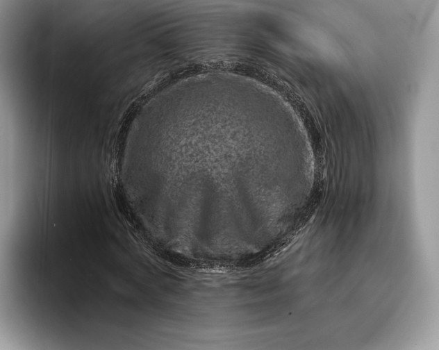 X0000094170772200711091123