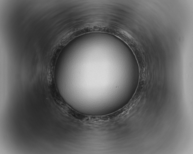 X0000094170774200711091123