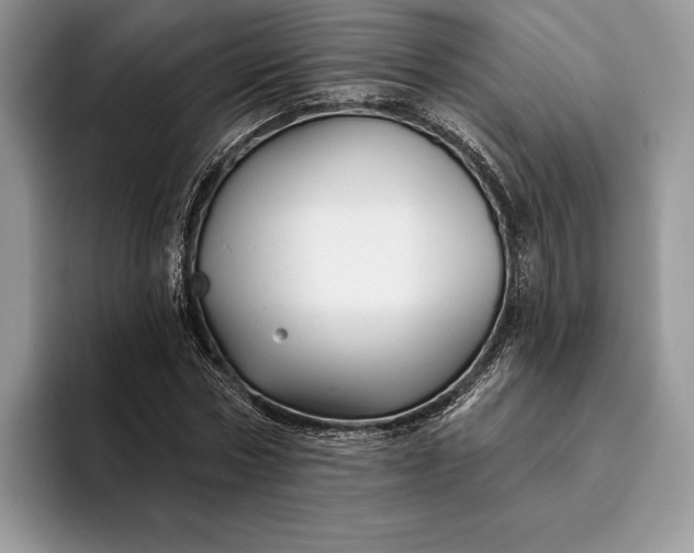 X0000094170778200711091123