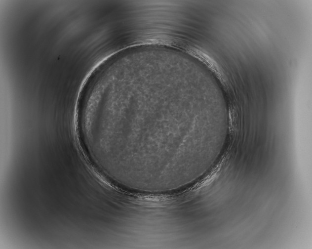 X0000094170780200711091123