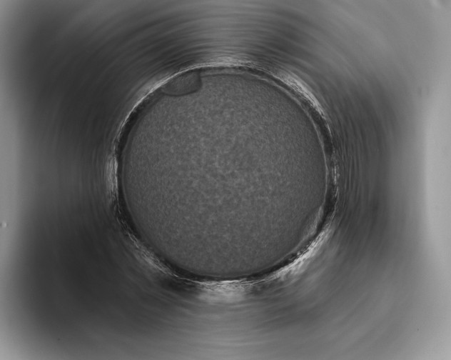 X0000094170781200711091123