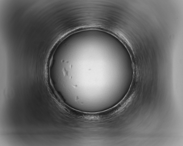 X0000094170789200711091123