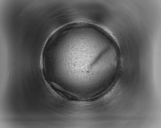 X0000094170791200711091123
