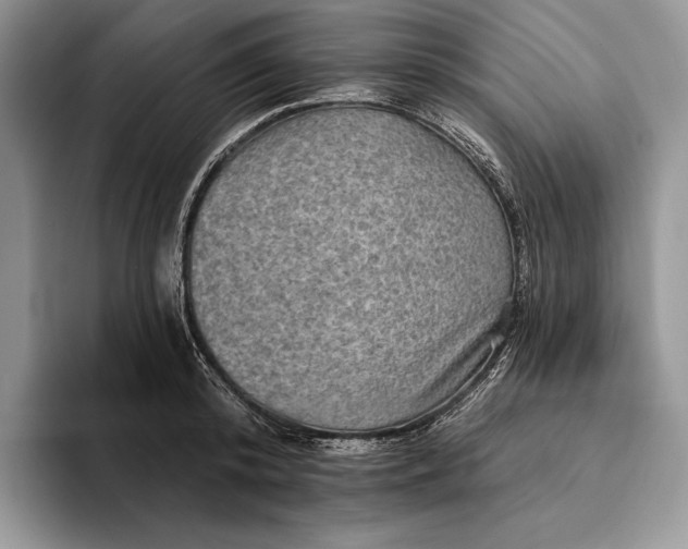 X0000094170800200711091123