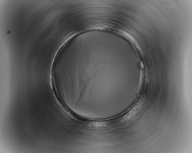 X0000094170802200711091123