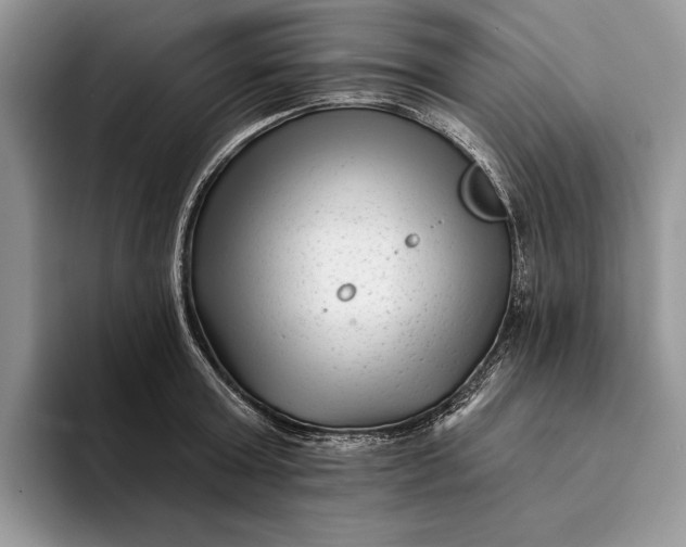 X0000094170803200711091123