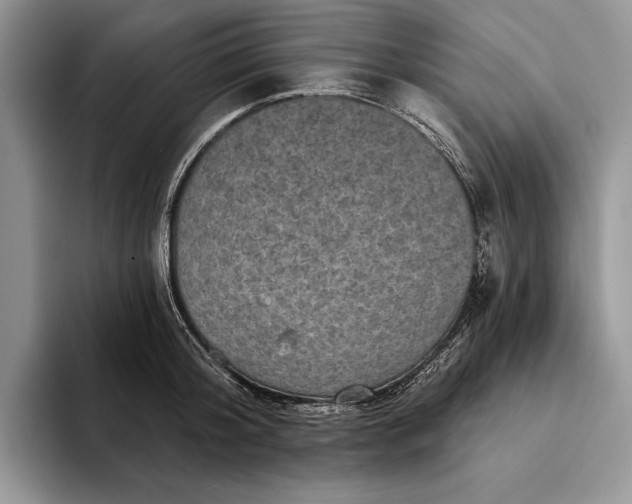 X0000094170804200711091123