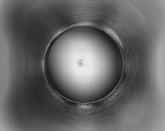 X0000094170805200711091123