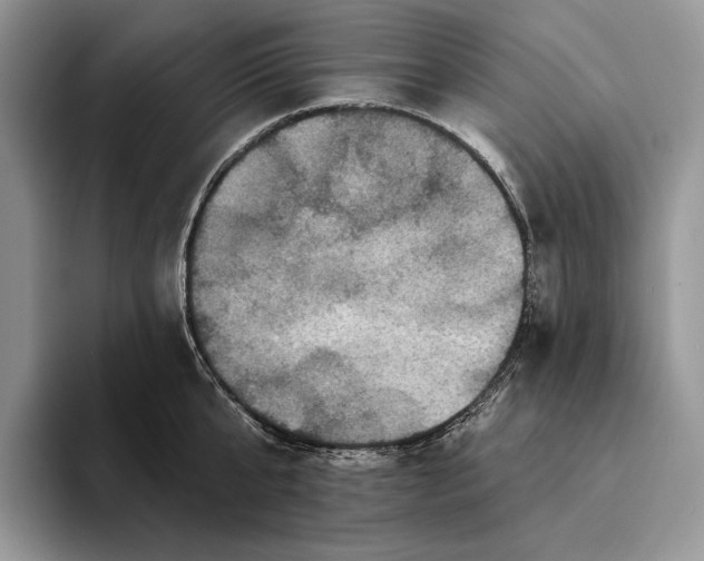 X0000094170807200711091123