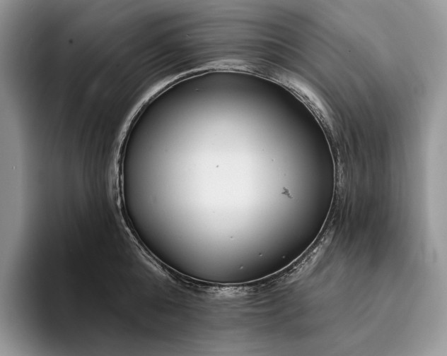 X0000094170808200711091123