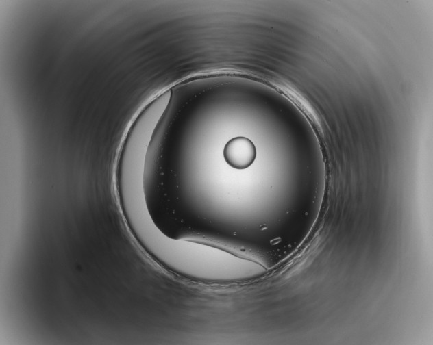 X0000094170813200711091123