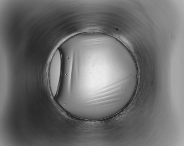 X0000094170816200711091123