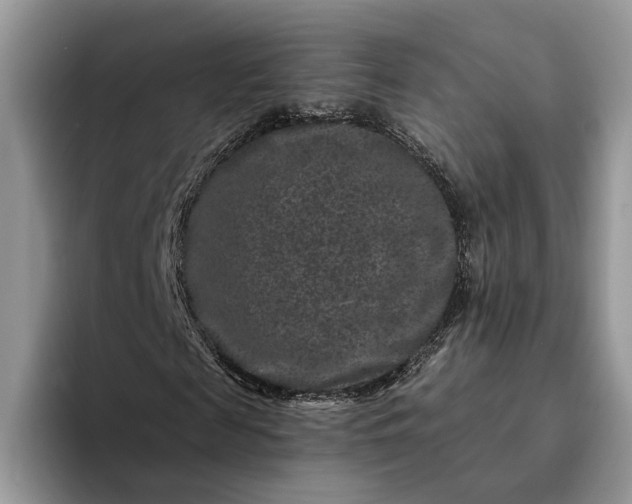X0000094170817200711091122