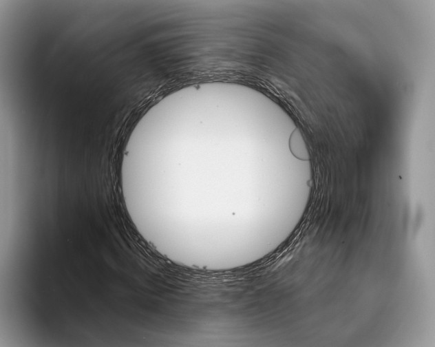 X0000094170820200711091122