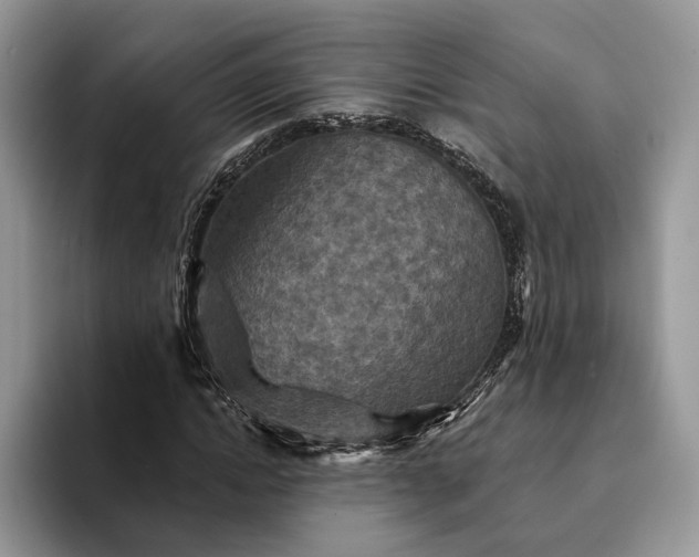 X0000094170822200711091122