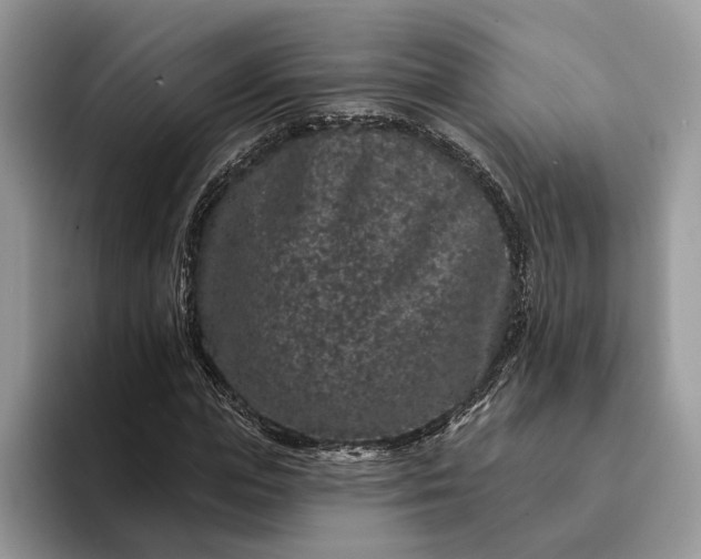 X0000094170823200711091122