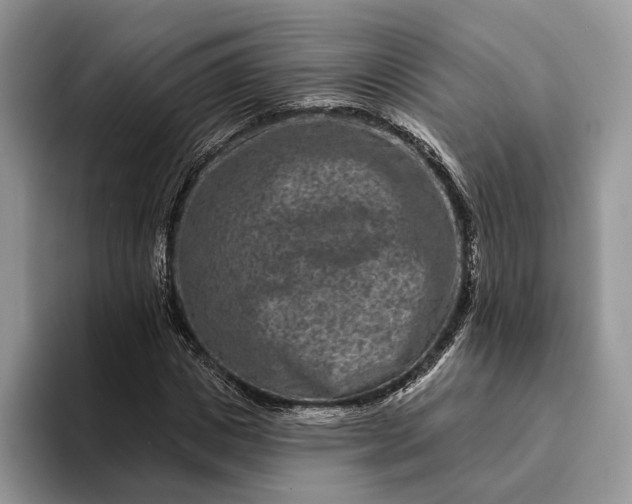 X0000094170825200711091122