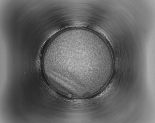 X0000094170827200711091122