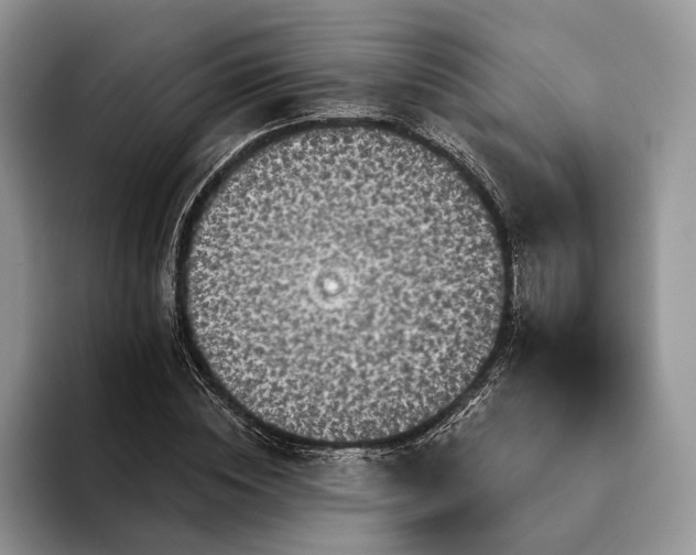 X0000094170828200711091122