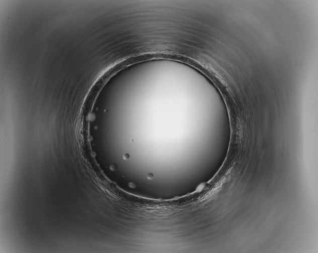 X0000094170830200711091123