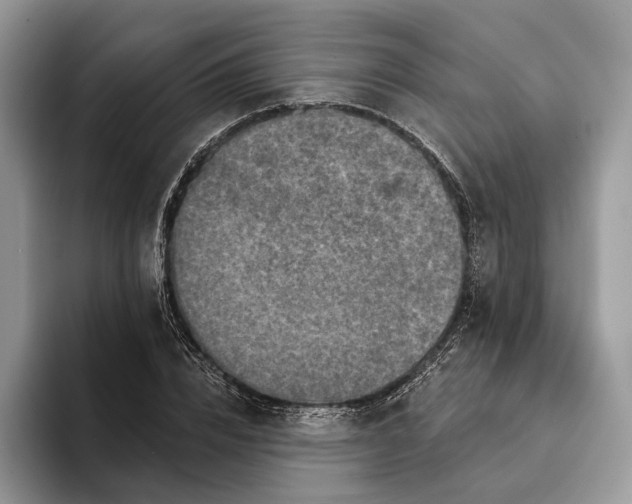 X0000094170832200711091123